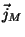 $\vec{j}_M$